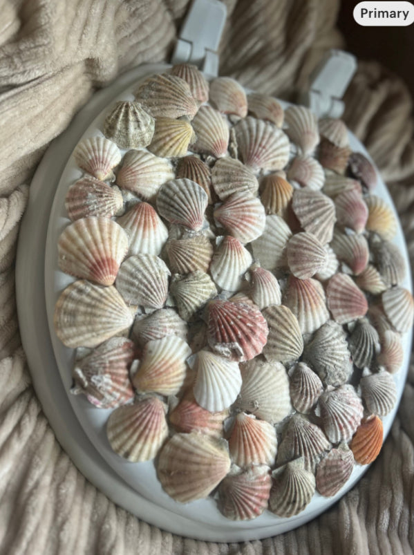 Shellfish Glam
